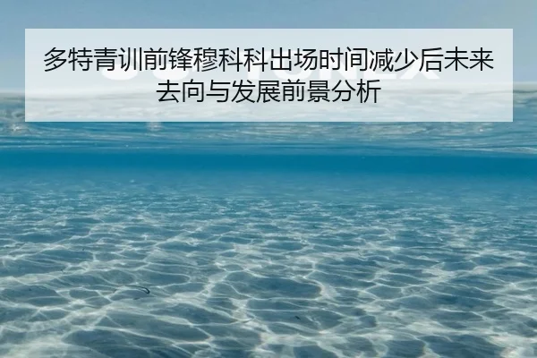 多特青训前锋穆科科出场时间减少后未来去向与发展前景分析